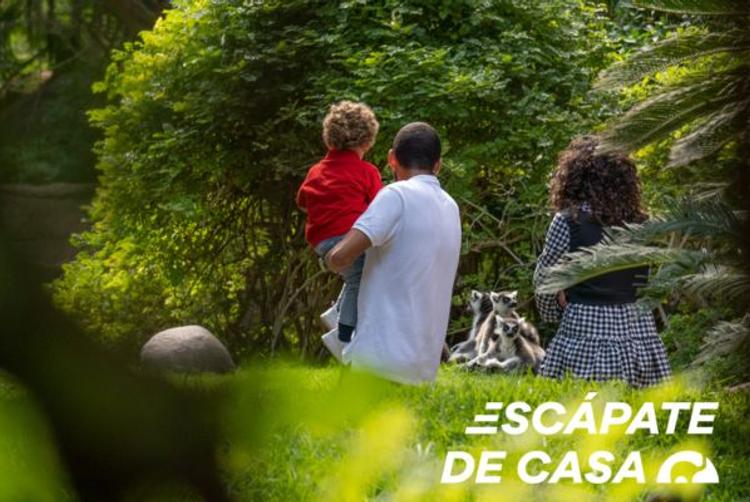 HOLIDAY WORLD RESORT | BENALMADENA | 6